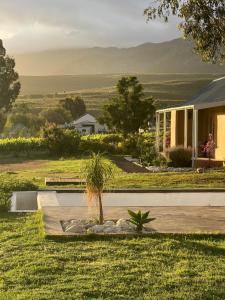 une maison avec une usine au milieu d'une cour dans l'établissement The Schoolhouse at Meulplaas, à Montagu