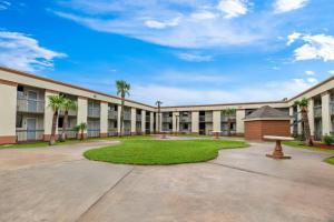 ハーベイにあるQuality Inn Harvey - New Orleansのヤシの木が茂る中庭のある大きな建物