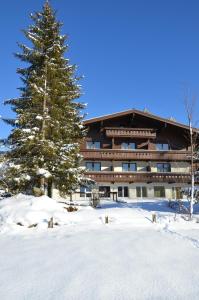 a large building with a pine tree in the snow at Hotel Wieser in Mittersill