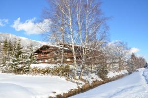 Hotel Wieser en invierno