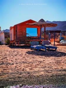 a group of chairs and umbrellas on a beach at Leley Camp in Nuweiba