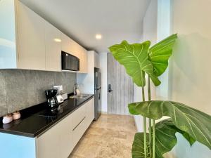 a kitchen with white cabinets and a large green plant at Luxury Apartment top location! in Playa del Carmen