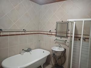 a bathroom with a sink and a mirror at Blackwood guest house in Vereeniging