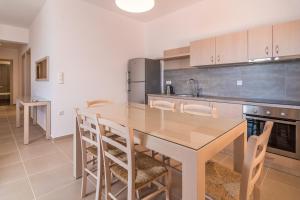A kitchen or kitchenette at Villa-Palaiochora