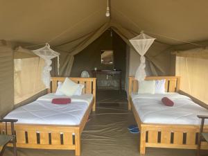 two beds in a room with a tent at Oloirien in Maasai Mara National Reserve