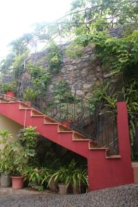a red staircase with plants on the side of a building at Villa Catanho in Funchal