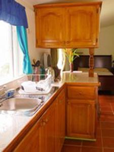 a kitchen with wooden cabinets and a sink and a window at Bluemoon Studio in Morne Prosper