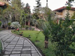 a garden with a stone walkway in a yard at Ashara guesthouse in Āwasa