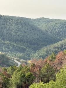 Φωτογραφία από το άλμπουμ του villa punta σε Pavías