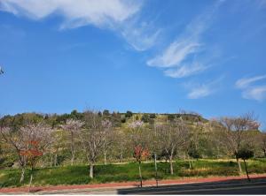 a view of a hill with trees and a road at 여수호텔 퍼스트시티 430호 트윈 하프오션뷰 in Ungch'ŏn-ni