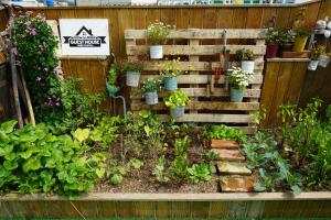 Grim Garden Guesthouse外面的花园