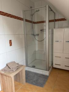 a shower with a glass door in a bathroom at Ferienwohnung mit Küche und Bad in Hollenbach