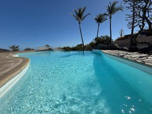 a large swimming pool with blue water and palm trees at Studio Piscine à Saint-Gilles prés des plages in L'Ermitage-Les-Bains +9 photos