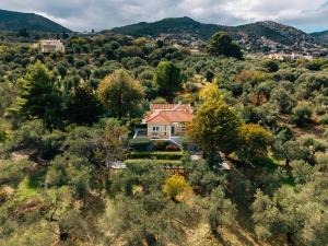 an aerial view of a house in a forest at Olive Grove Retreat in Mytilini