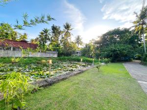 un giardino con ninfee in un cortile di ilamparuma Hotel a Weligama