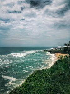 Peisaj natural din apropierea acestei camere de închiriat