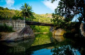 un puente sobre un río con una palmera en Mountain Breeze Villa, en Ella