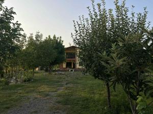 Zahrada ubytování Villa Jigaura + 5 fotografií