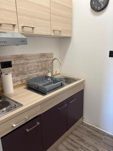a kitchen with a sink and a counter top at Banija studio apartments in Karlovac +18 photos