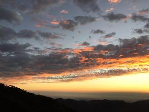 Gallery image of 1 bedroom bin tin kin in Kasauli