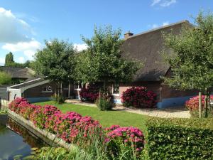 PolsbroekにあるB&B De Porrelの庭にピンクの花が咲いている家