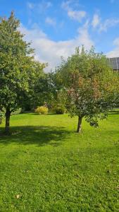 two trees in a field of green grass at Ferienhaus - Hoamathaus in Aigen im Ennstal