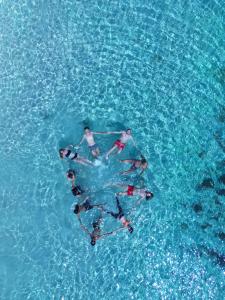 Komodo Labuan Bajo AirportにあるWonder By Celebbestの3人が青い水の中で泳いでいます