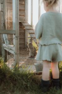 a little girl looking at a cat in a cage at Landhoeve in Zwarteweg