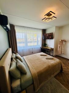a bedroom with a large bed and a window at Cozy Studio Apartment in Haapsalu