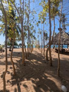 Příroda nedaleko hotelu