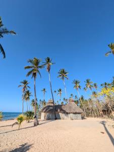 Příroda nedaleko hotelu