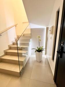 a staircase with a potted plant in a room at Samborondón Luxury Room by Adriana in SamborondÃ³n