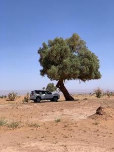 Φωτογραφία από το άλμπουμ του Camp Golden Desert Morocco σε Mhamid