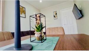 a room with a table with a glassarium with a plant at Leaves Apartments in Paramaribo