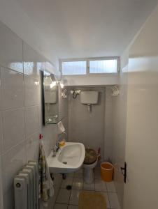 een kleine badkamer met een wastafel en een toilet bij Comfortable waterfront cottage in Paralía Rachón