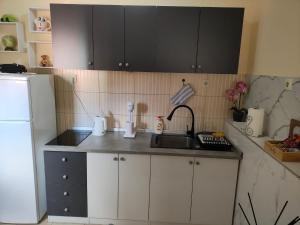 Kuchyň nebo kuchyňský kout v ubytování SkyBreak Apartment + 3 fotografie