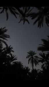 Gallery image of Spellbound in Siwa in Siwa +8 photos