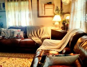 a living room with a brown leather couch at Rosewood Cottage -Entire 2 bedroom home with Netflix & WiFi in Tambo