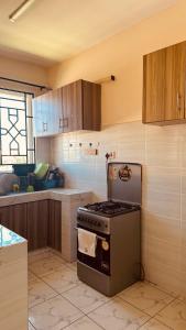 Kuchyň nebo kuchyňský kout v ubytování Nyota House