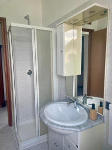 un bagno con lavandino e doccia di La Casetta nel Cortile ad Appiano Gentile