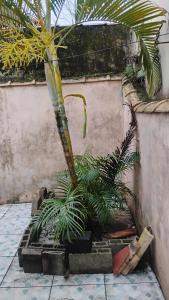 En have udenfor Recanto da Helo