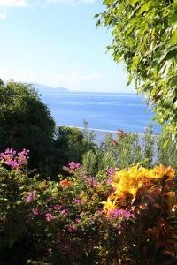 Fotografie z fotogalerie ubytování 34 ° soley. v destinaci Case-Pilote + 63 fotografií