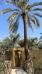 Gallery image of Spellbound in Siwa in Siwa