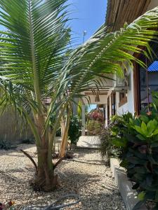 Gallery image of Aloe House in Matemwe