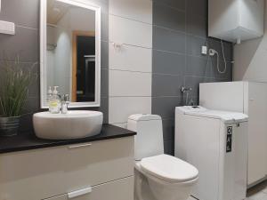 un baño con inodoro y lavabo en Hahto, en Syöte 18 fotos más