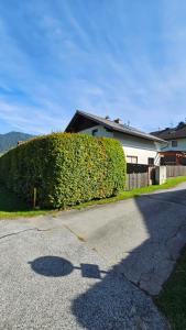 a large bush in front of a house at Ferienhaus - Hoamathaus in Aigen im Ennstal