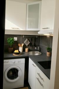une cuisine avec une machine à laver et un évier dans l'établissement Studio Design à Mulhouse, à Mulhouse