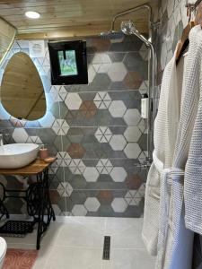 un bagno con lavandino e doccia con specchio di Tasia's Cottage a Tsalka