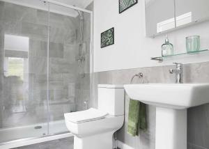 a bathroom with a toilet and a sink and a shower at Clear Sky Lodge Park in Falstone