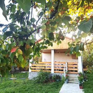 Foto dalla galleria di Akidoni ad Ambrolauri